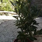Casinha De Lamares