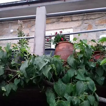 Apartamento Casinha De Lamares Vila Real