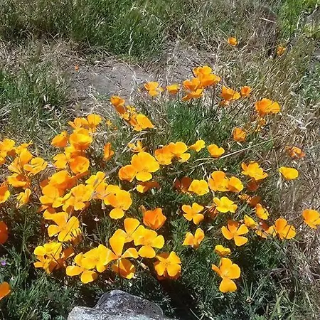 Daire Casinha De Lamares Vila Real