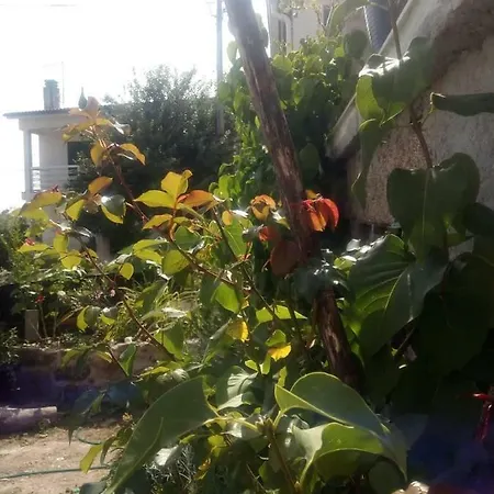 Casinha De Lamares Daire Vila Real