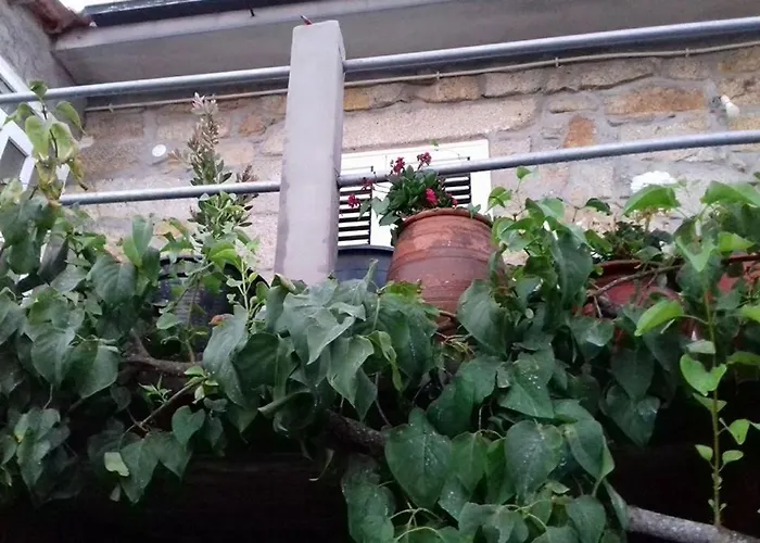 Apartamento Casinha De Lamares Vila Real