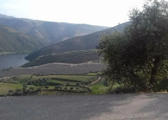 Casinha De Lamares * Vila Real