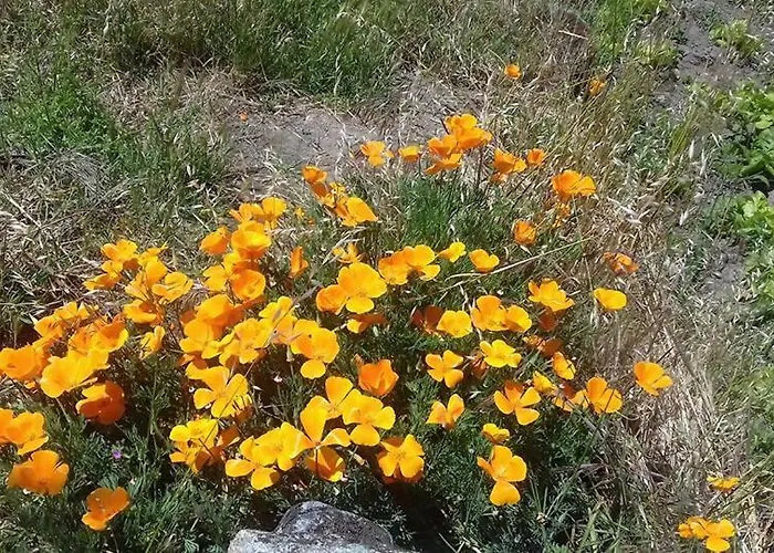 Apartamento Casinha De Lamares Vila Real