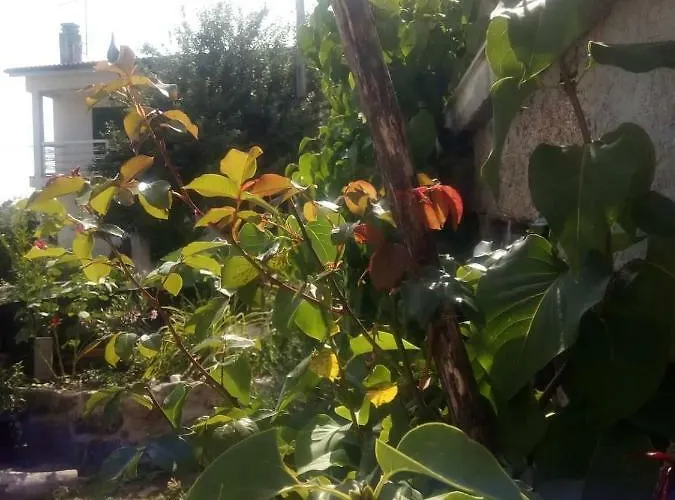 Casinha De Lamares Apartamento Vila Real